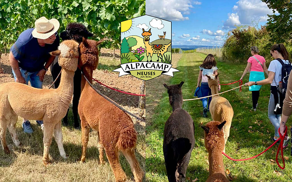 Alpacamp Neuss