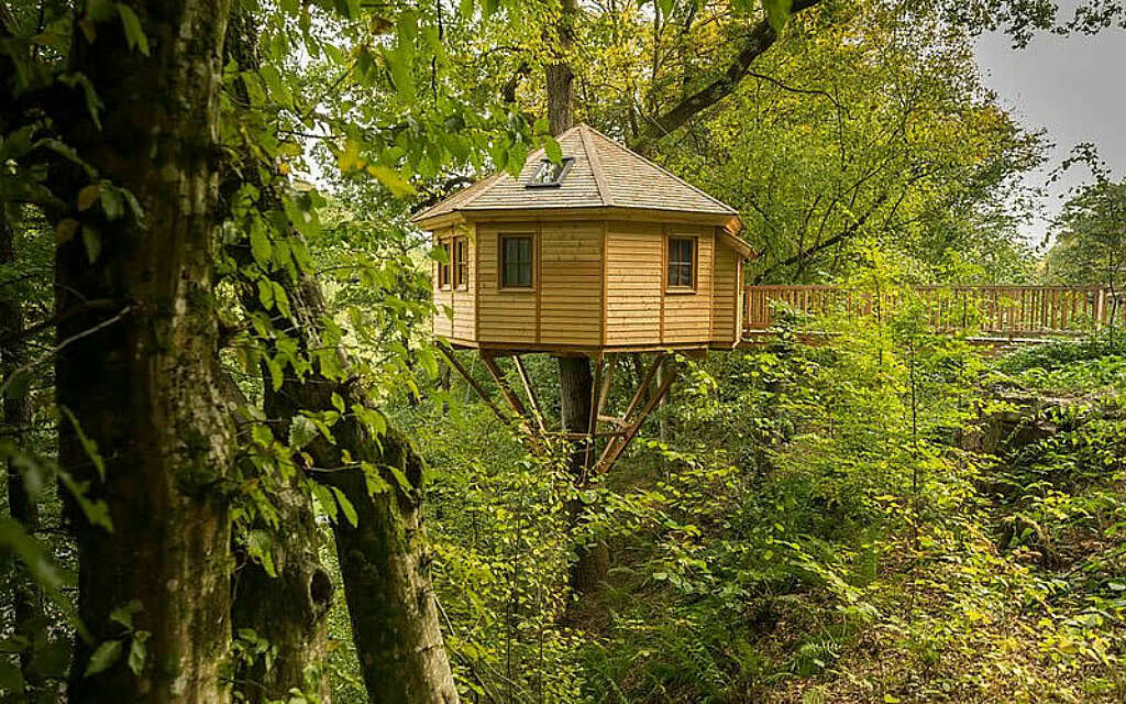 Baumhaushotel Seemuehle Freizeit Baumhaushotel Seemuehle Freizeit