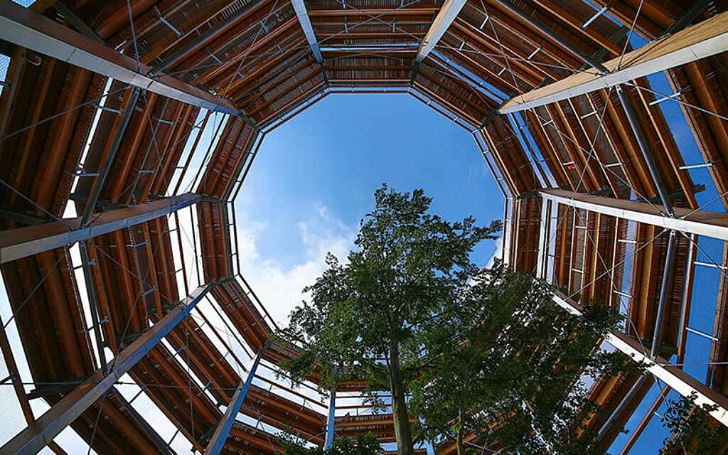 Baumwipfelpfad Freizeit