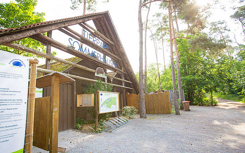 Csm MG 3499 748f79cd8d